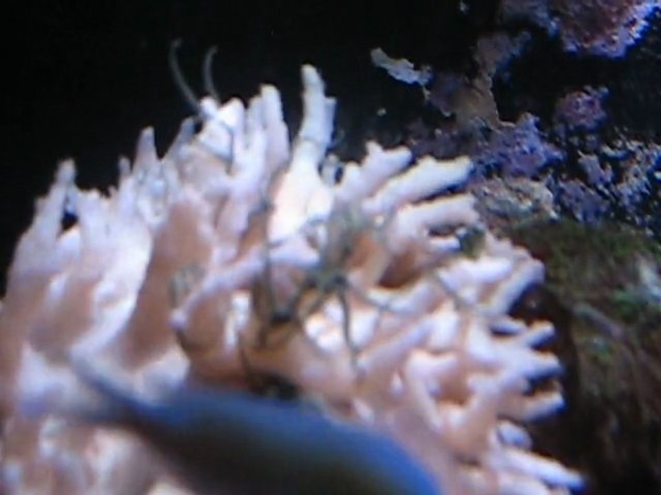 MVI_3704