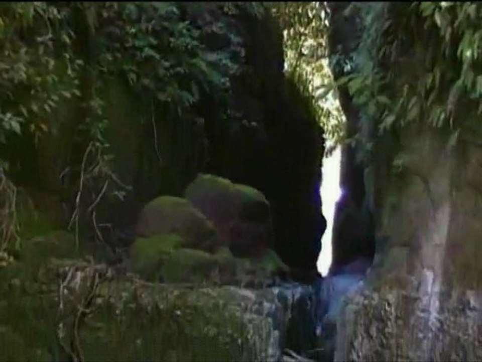 Jungle Trail in Ambroso