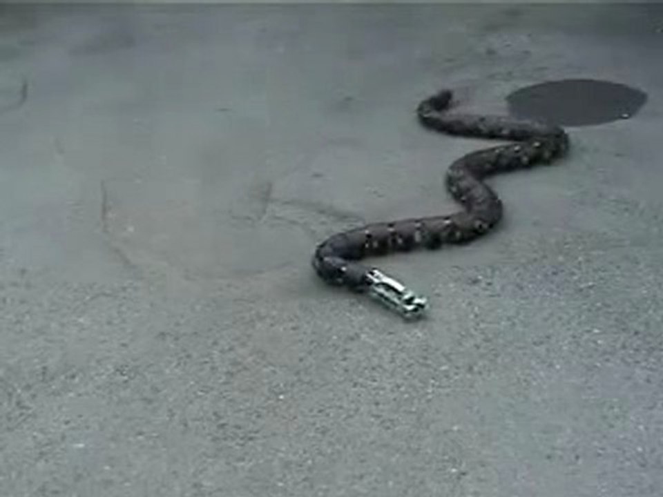 Yılan Robot videosu - www.Hikmetli.com