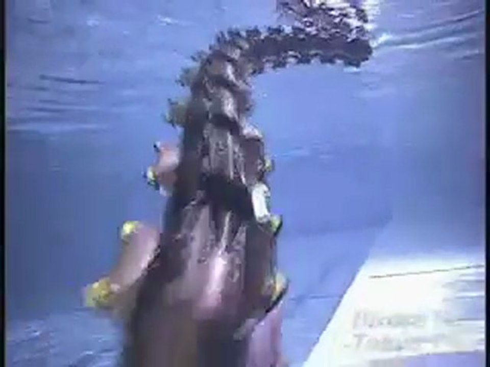 Yılan Robot videosu 2  -www.Hikmetli.com