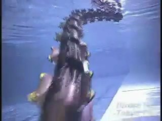 Yılan Robot videosu 2  -www.Hikmetli.com