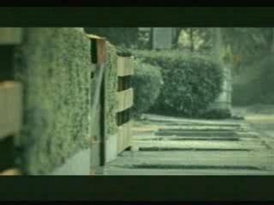 Bridgestone - suicide de chien
