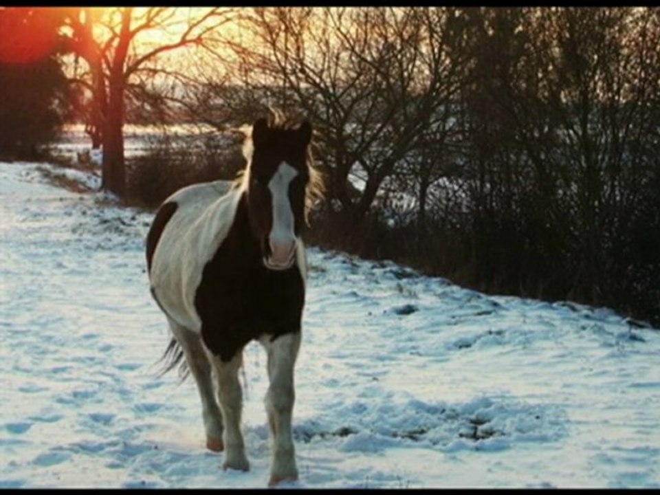 Indy & chloe_0001