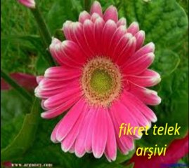 ZEKİ MÜREN-KLARNET TAKSÎMİ&SAÇLARIN TÂR Ü MÂR GÖZLERİNDE NEM