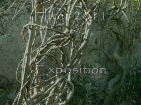 Exposition Hiver 2011 Sculptures-Vivantes