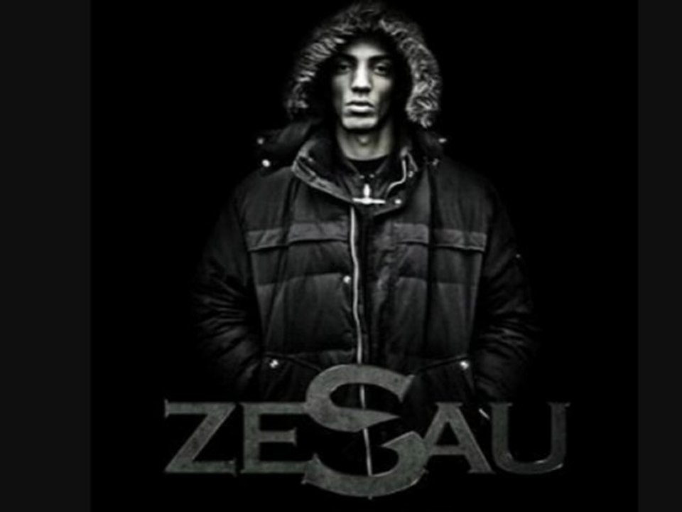 zesau le style