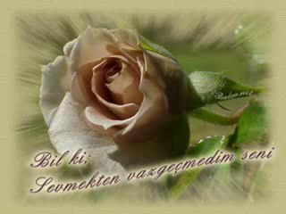 fatih kısaparmak gülom