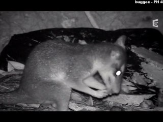 Expédition Guyana - Au coeur de la jungle_3_Mer 09 fév 2011