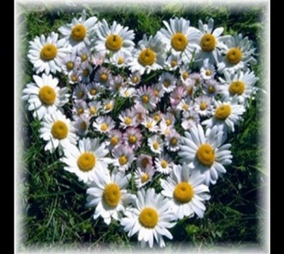 SALİH KAHRAMAN- HASTA DÜŞTÜM GURBET ELDE