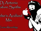 Dj Antonio-Nature Synths (Orelse's Acidized Mix)