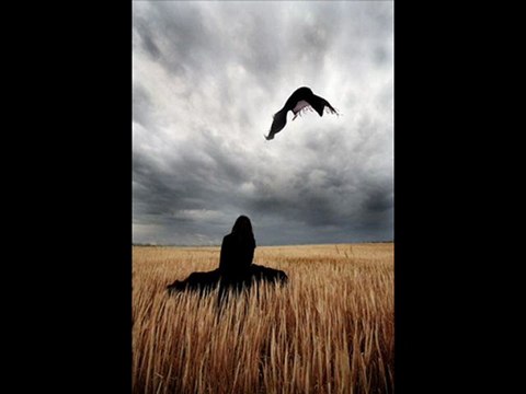 Günün Yorumu;Hazırlayan Ve Sunan;/MEVLÜT ÖZCAN~YoL~HaRiTaSı~