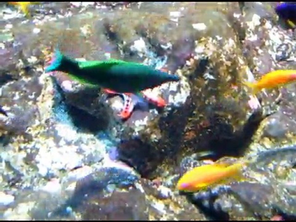 Cherbourg-La cité de la mer