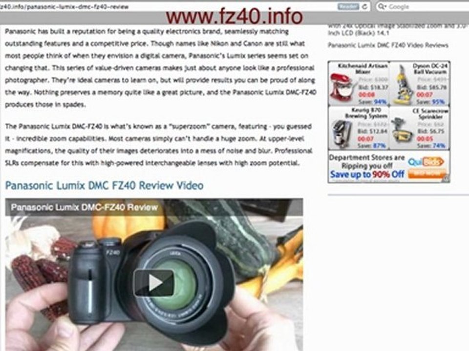 FZ40 Review