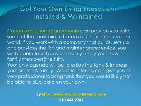 Want a Living Work Of Art? Custom Aquariums San Antonio