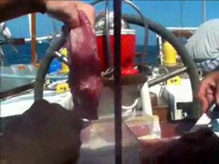 RDJ: De Capetown à Luderitz 🚗