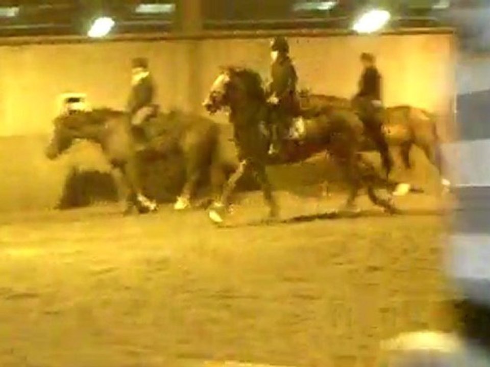 CLIP0011