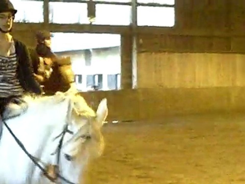 CLIP0009