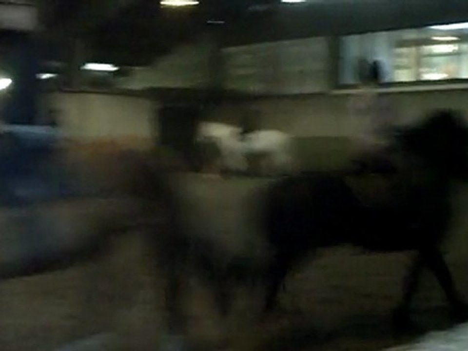 CLIP0003
