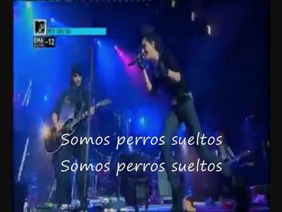 ♠DOGS UNLEASH♠live tokio hotel