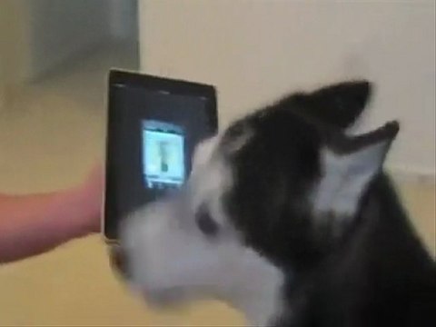 SÜPER SES DİNLEYİN @ Mehmet ali arslan YAYINLARI