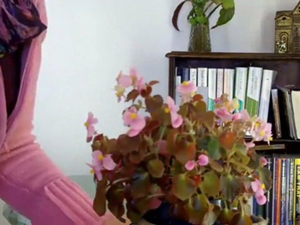 How to Feel the Human and other Energy Fields