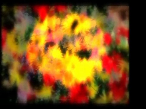 İmam-ı Gazali (r.a)-Amelsiz İlim