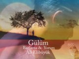 GÜLÜM...BAĞLAMA & YORUM: ALİ ELİBÜYÜK