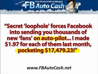 FB Auto Cash Review