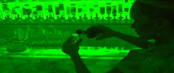 "Absent Minded" @ Chervilo 05.03.11