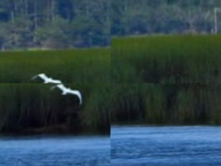 Olympus Evolt E520 10MP Digital SLR Camera