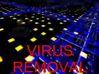 ACS COMPUTER REPAIR,CLEARWATER FL,VIRUS REMOVAL,11