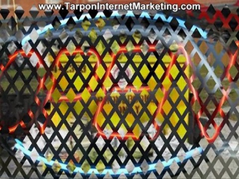 Local SEO gets sales, Yellow Pages Declining