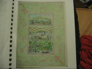 BD Buzz - Amazonie peruvienne (Part 6)