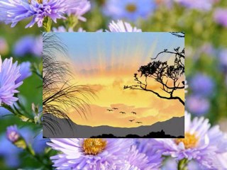 MELODIE D UN COEUR LE MIEN_0001