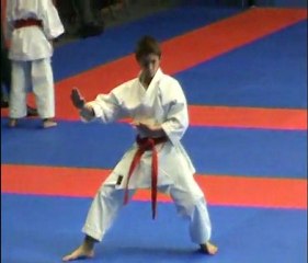 Karate, coupe de france 2010