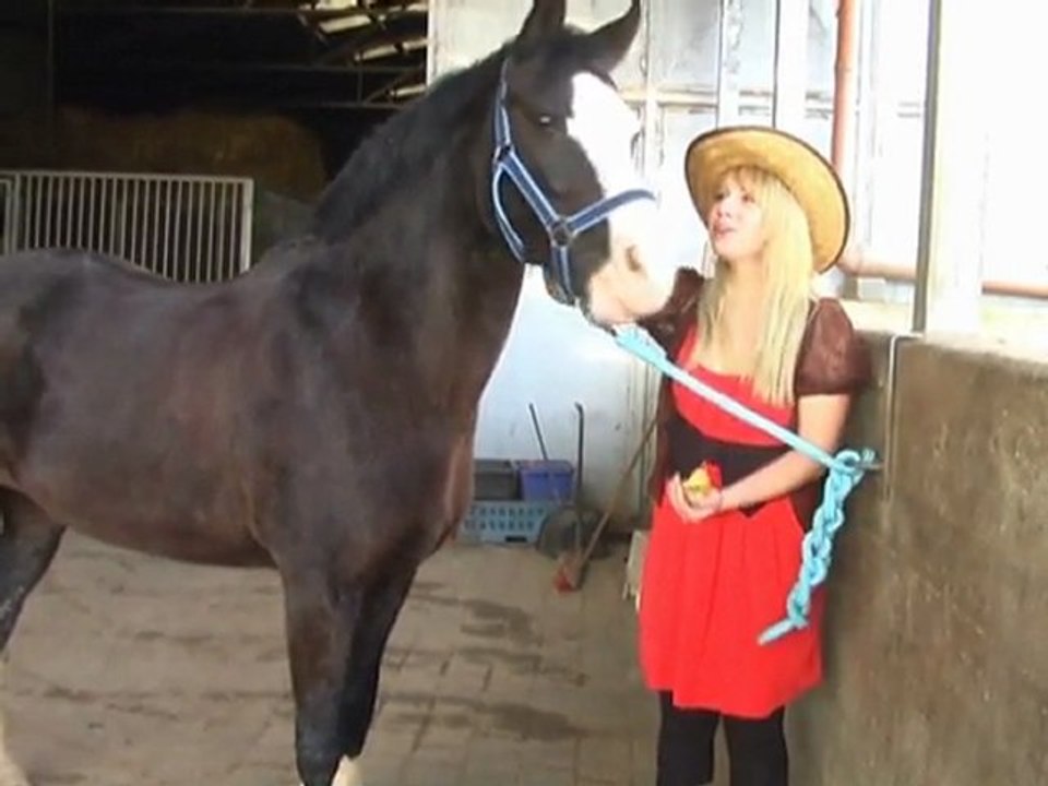 sweet home alabama by Lynyrd Skynyrd