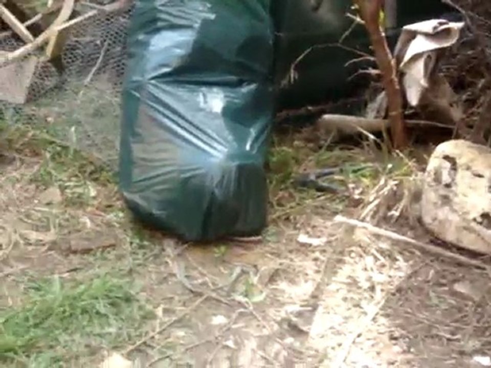 visite du jardin