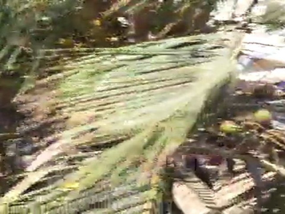 Affrontements Etudiants vs Policiers UCAd Dakar