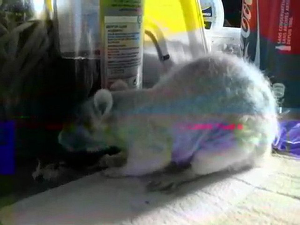 10.3.2011popo 004