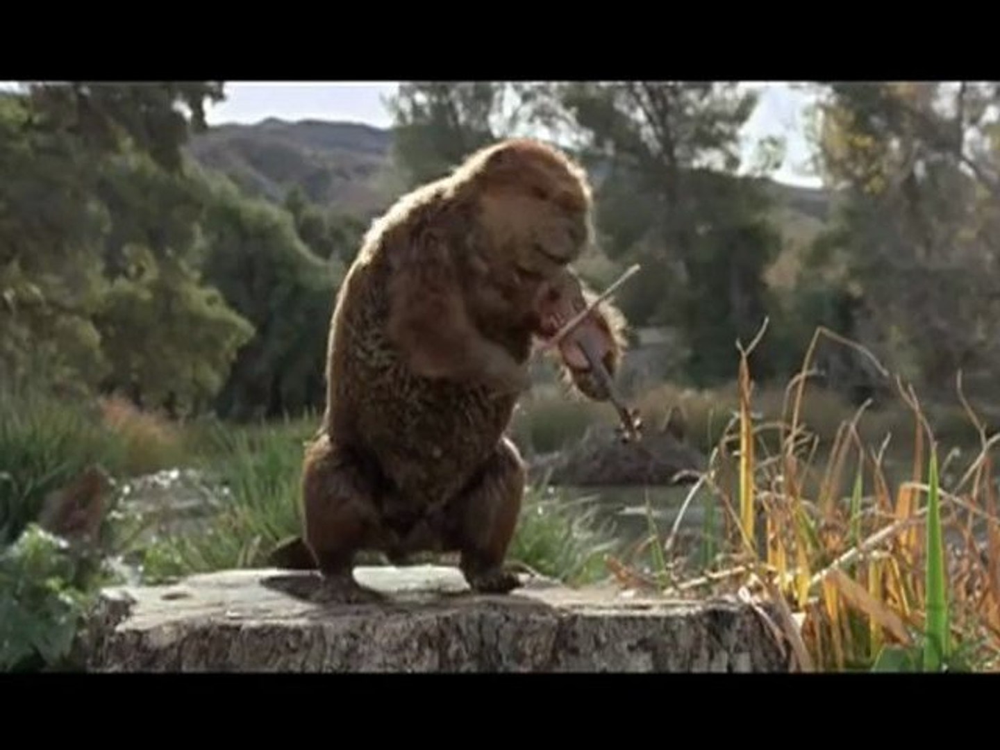 ⁣Country music beaver star ! / Monster.com