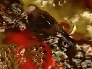 DTM - Cartolina dalla Cina