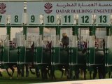 PRINCE DU DESERT Le pur sang arabe de course - Qatar