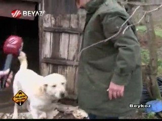 Mülayim Yollarda 33.Bölüm 3.Kısım