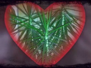 Song for Aichi - Rodolphe Burger&Yves Dormoy