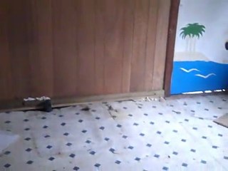 Great new property,highly desirable area,low price