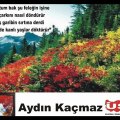 AYDIN KAÇMAZ  FELEK ALBÜMÜNDEN SANA SÖZÜM VAR