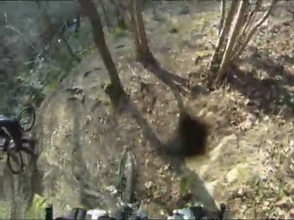 VTT dans le Puy de Dôme