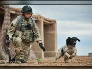 Hero soldier and dog repatriated