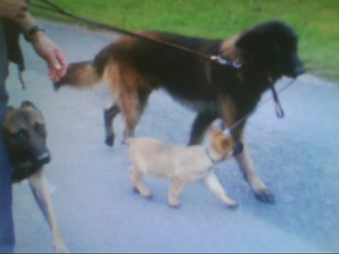 a mon ami theo qui nous a quitté