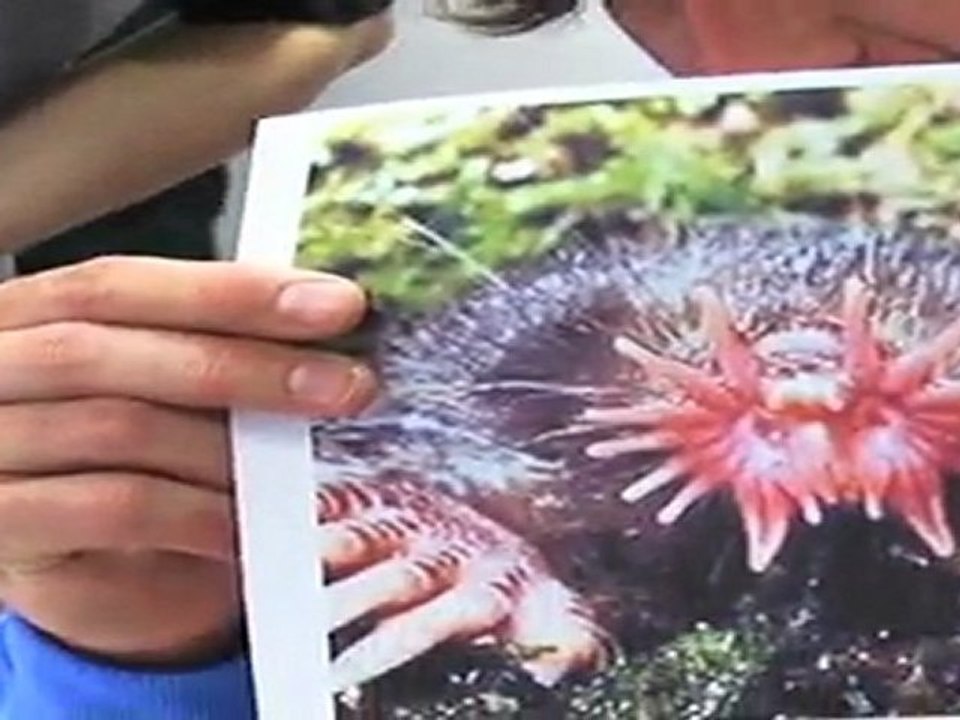 Rugby365 : Le quizz animaux de Julien Pierre